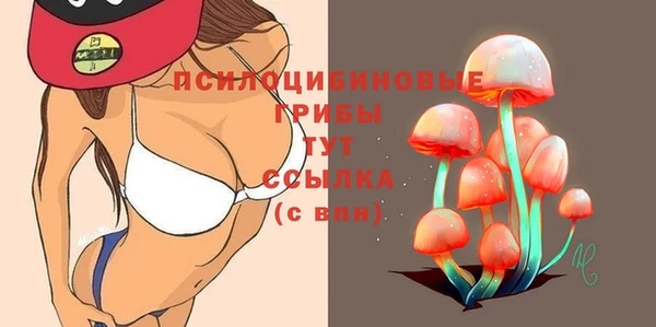 MDMA Premium VHQ Горнозаводск