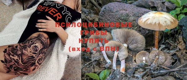MDMA Premium VHQ Горнозаводск