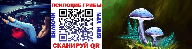 Псилоцибиновые грибы GOLDEN TEACHER  магазин  наркотиков  Зубцов 