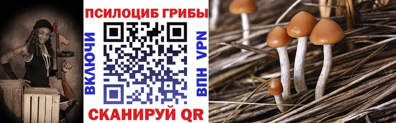 Псилоцибиновые грибы ЛСД Зубцов